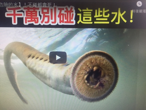 10個世界上【最危險的水】！不碰都會死！