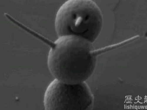 太可愛了吧!世界上最小的雪人長這樣!