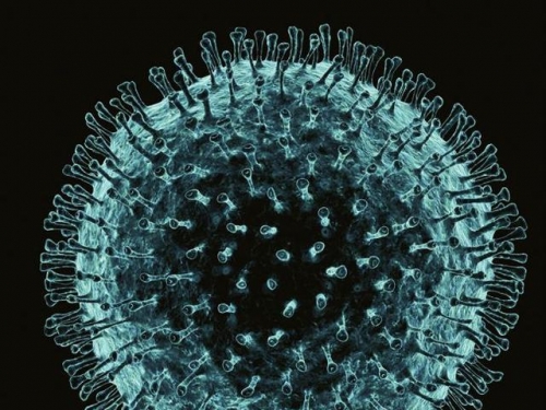 地球上第一個病毒怎樣誕生的？