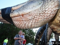 震驚！一女性捕獲近千斤巨鱷創世界記錄！