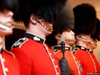悼一戰捐軀戰士...英烘焙師製2.1米「衛兵蛋糕」藏人群