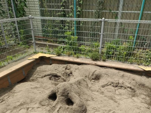 沙坑驚見「超巨大人臉」 網嚇︰誰在公園堆這個？