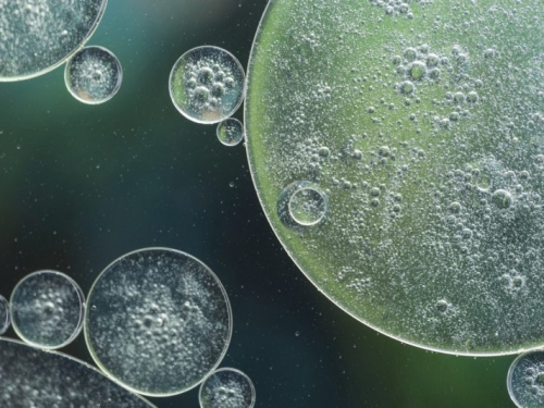 尋找生命跡象生力軍！AI 找到 33 億年前微生物的「化學指紋」