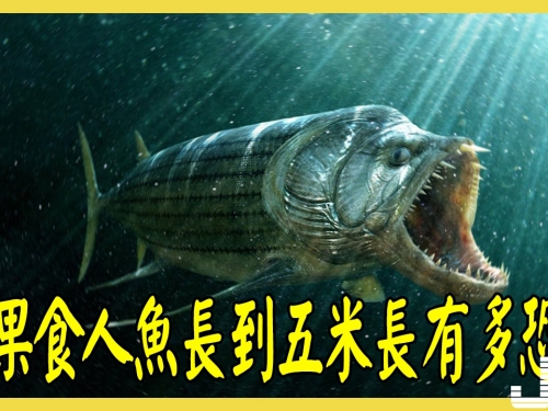 如果食人魚長到五米長有多恐怖？八千萬年前還真有巨型食人魚