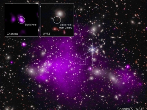 打破紀錄，韋伯、錢卓拉望遠鏡聯手發現最遙遠 X 射線超大質量黑洞