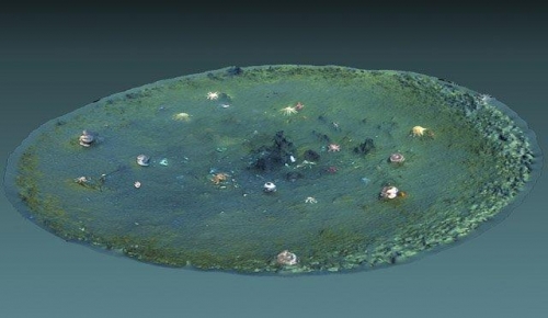 太平洋發現15000個神秘洞穴，科學家無法解釋，或存在50000多年了