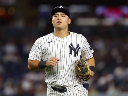 MLB》近10場上壘率0.031！洋基球星沃爾普大低潮 教頭仍看到好現象