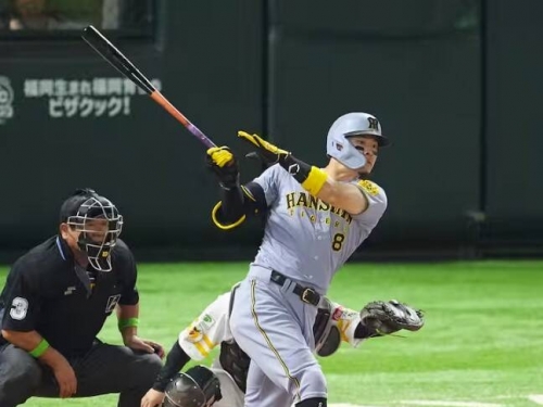 日本一》佐藤輝明致勝長打、村上頌樹7局好投 阪神G1逆轉軟銀奪勝