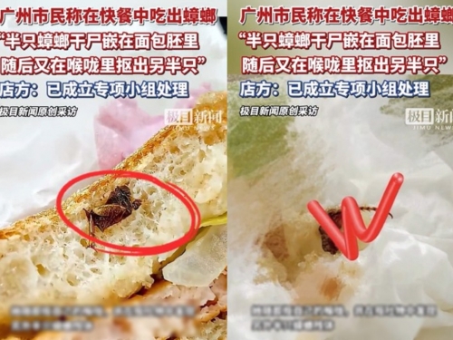 速食店漢堡咬下驚見半隻蟑螂　女子催吐出另一半