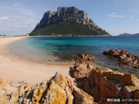 世界最小「王國」　塔沃拉臘僅有11位居民100隻羊