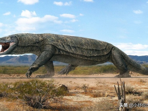 被認為是文學作品創造物，但在地球上真實存在過的7種生物