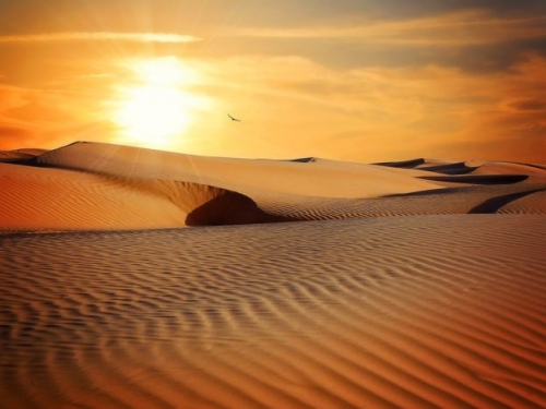 每 2.1 萬年變化一次，撒哈拉沙漠曾是一片綠色大地