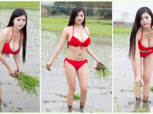 鄉下地方驚見「90cm大胸妹」爆乳種田引瘋傳！超邪惡「插秧畫面」會害男人摔進田裡…