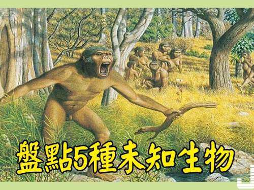 盤點5種未知生物，第3種現身中國，被多次目睹