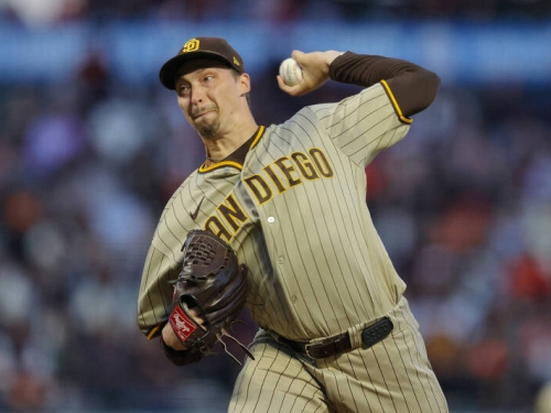MLB》史奈爾適合洋基嗎？ 當家球星索托受訪分享看法