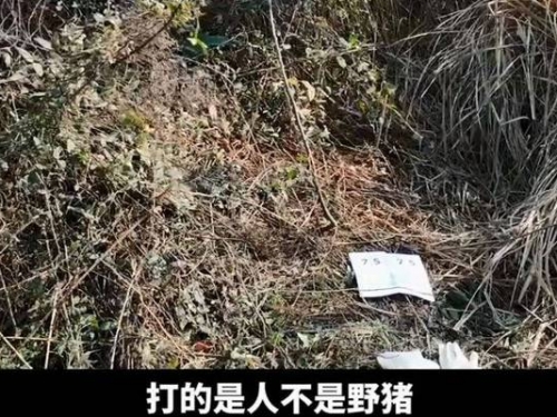 人妻躲草叢等夫 被當「野豬」射殺爆頭、棄屍荒野