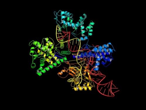 用 CRISPR 治療血液疾病，早期試驗結果展現積極成效