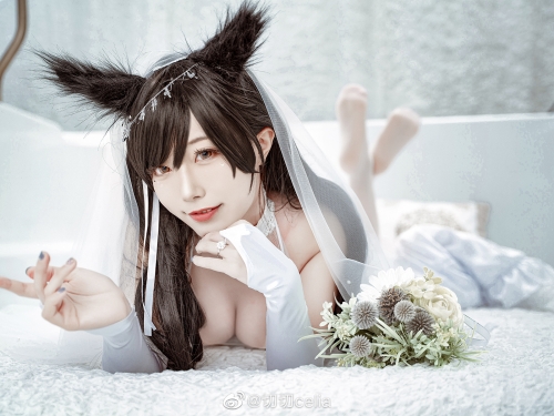 碧藍航線愛宕犬 切切celia 看coser 新闻网