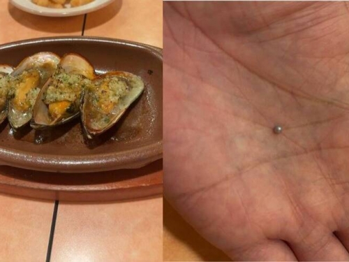 中大獎！點淡菜吃到珍珠 日網友驚呼：一開始還以為是貝殼