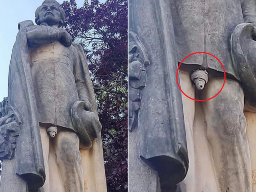 好害羞！蜂築巢在尷尬位置 網笑：很會選地方喔