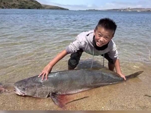 超大！ 加州13歲少年釣起28.9公斤海鱸魚 有望破世界紀錄