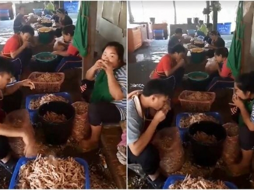 上班只要啃雞爪！中國食品廠月薪8.8萬徵人 嘴大優先錄取