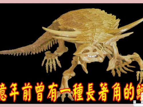 兩億年前曾有一種長著角的鱷魚，體長5米，有一人多高！