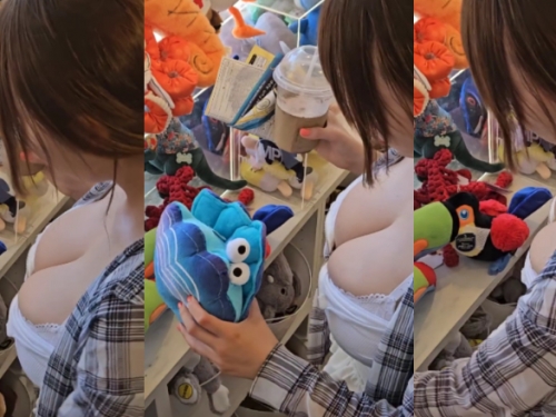 巨乳女網友連線逛狗玩具　網友全歪樓：想玩那兩顆球！