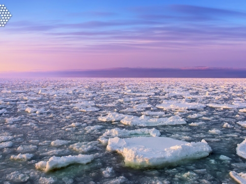 2020年二氧化碳排放可望少7%　但無助減緩暖化