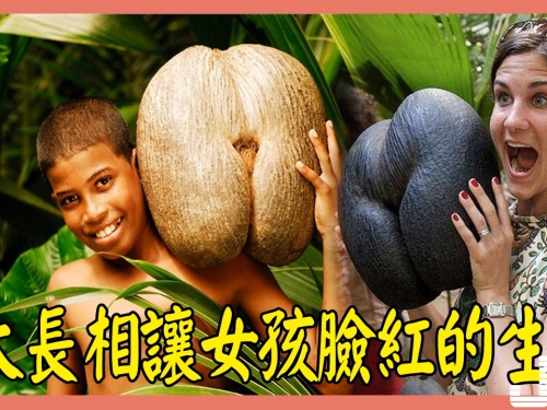 地球上6大長相讓女孩臉紅的生物，都是毀三觀的存在，你見過嗎？