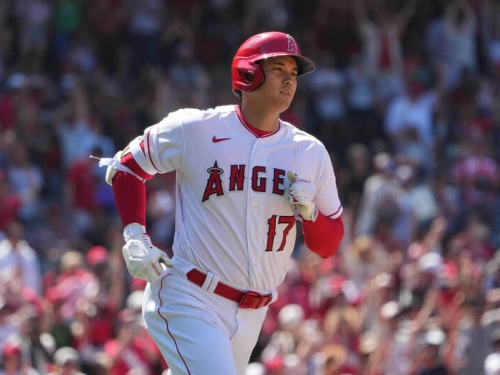 MLB》「法官」62轟紀錄危險了？大谷翔平太瘋狂 美媒看好締造新猷