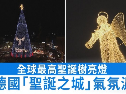 世界最高聖誕樹德國點燈 全樹木打造、高45公尺