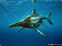 尼斯湖水怪的表親！英發現新版水怪「蕭克勞希海鬃蜥」