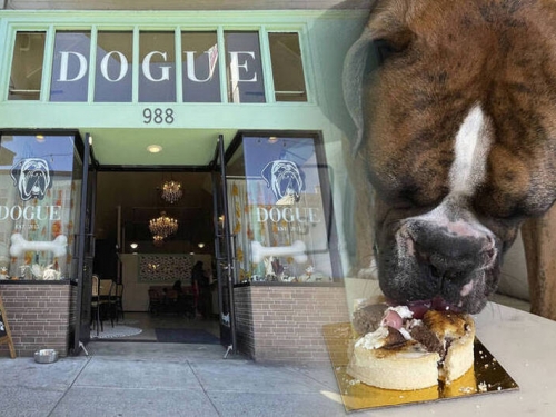 舊金山高檔狗狗餐廳 爽嗑2431元菲力牛排套餐