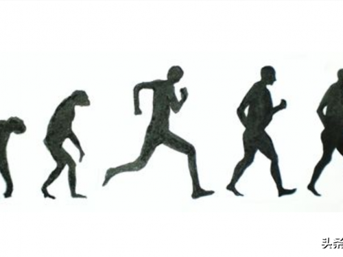 人類加速進化？科學家：35%的人有神秘動脈，80年後或都有