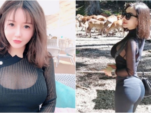 「大奶翹臀」出沒注意！「兇猛巨奶妹」出門旅行自備胸器！小鹿真的要亂撞啦！