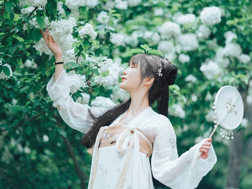 唐朝公主貌美如花卻嫁不出去 皇帝急了！當街搶駙馬
