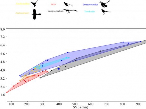 研究：霸王龍的雙腿可能並未為了奔跑而生