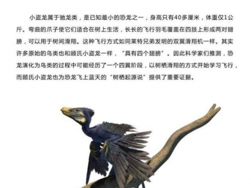 科學家認為恐龍沒有全部滅絕，還生活在地球，人類身邊隨處可見