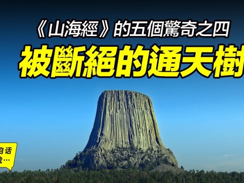 《山海經》的五個驚奇之四：被斷絕的通天樹，美國這顆高達400米的“樹墩化石”究竟是...