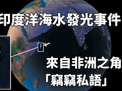 從印度洋海水發光事件，到會說「漢語」的動物！地球語言太神奇了！The Milky Seas