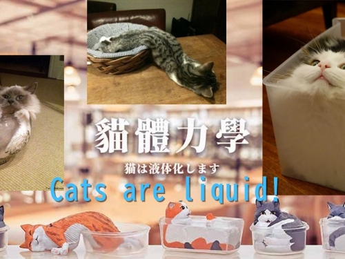 液體貓出沒！　台灣路遙圓創年底推出「貓體力學」扭蛋！