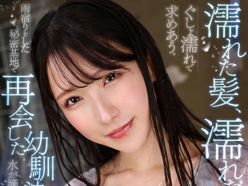 SAVR-439 宮西ひかる：【VR】濡れた髪、濡れた素肌…、ぐしょ濡れで求めあう。 雨宿りを...