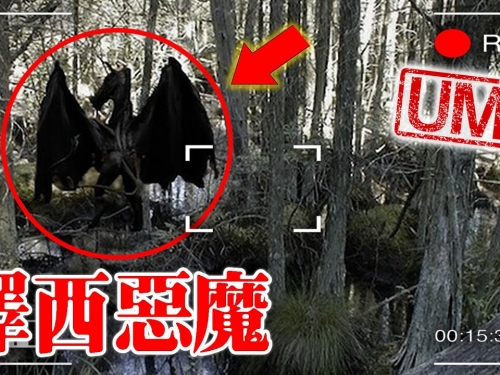 【UMA檔案】澤西惡魔 - 松林泥炭地裡的惡魔之子，惡靈降世。New Jersey Devil