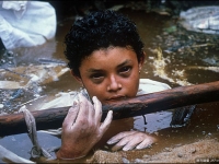 世界上最著名的12張照片，你見過幾張？