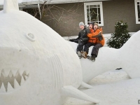 好威！美3兄弟庭院堆「巨型雪鯊」　還有河豚與海龜