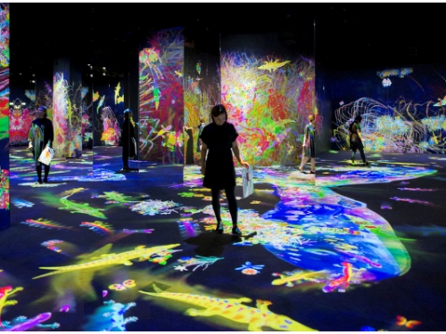 一生要看一次！精選「teamlab、音樂祭」夏季必打卡 5 大活動　失敗品也被列入展覽？