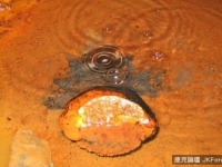 加拿大地下發現30億年前遠古地下水