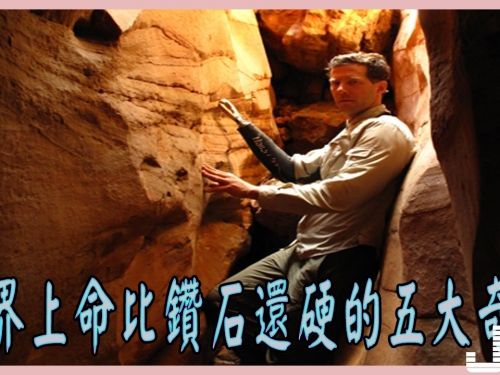 世界上命比鑽石還硬的五大奇人：碾成兩段依然活著