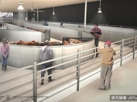 全球第一座動物機場！　紐約「方舟航廈」2016完工